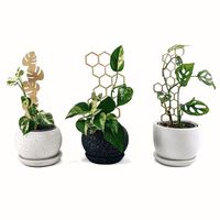 Trio de Soportes para plantas Un Cuarto Verde Parante Tutor 30cm 3 Diseños