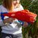 image-20ef8917f1fe49958cd66722147aa906