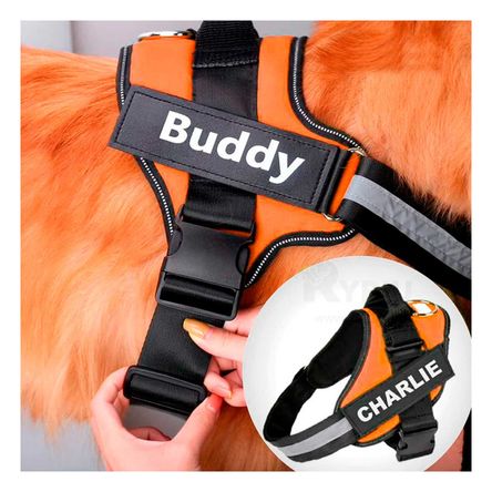 imageUrl_1 imageUrl_1