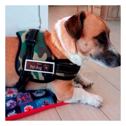 imageUrl_1 imageUrl_1