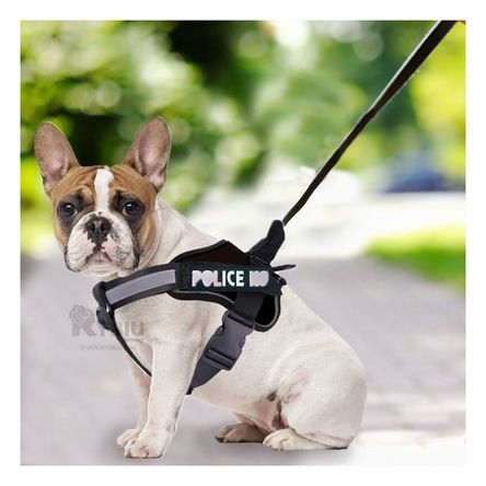 imageUrl_1 imageUrl_1