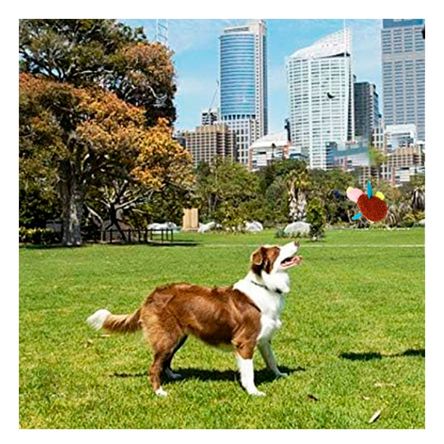 image-2b0ef314821d47b8bab34f2e2ca940f8