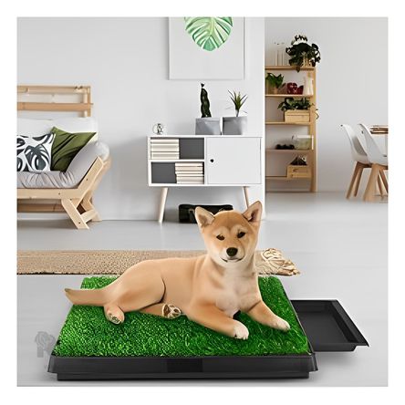 image-bdd35cbf906a45f19c5d967f8172b58a