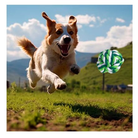 image-261357f5d4f544eeb9aca7c6f196e8c1 image-261357f5d4f544eeb9aca7c6f196e8c1