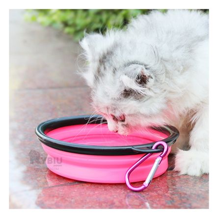 image-493dcfd1b96e4e44add9f48bbc448ef5 image-493dcfd1b96e4e44add9f48bbc448ef5