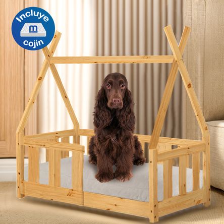 image-80d10746e14a45dfae4541c16622b643 image-80d10746e14a45dfae4541c16622b643