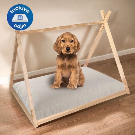 image-f2d6877b17a84868a5c4101d50e85785 image-f2d6877b17a84868a5c4101d50e85785