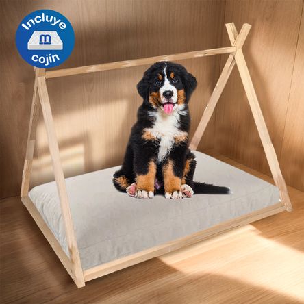 image-742994c4bf73480c8b71a532a8f97f44 image-742994c4bf73480c8b71a532a8f97f44