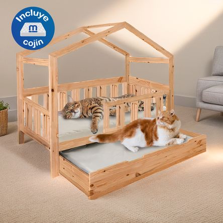 image-5bb2e076412d47eb8bd0c0254ee958c1 image-5bb2e076412d47eb8bd0c0254ee958c1