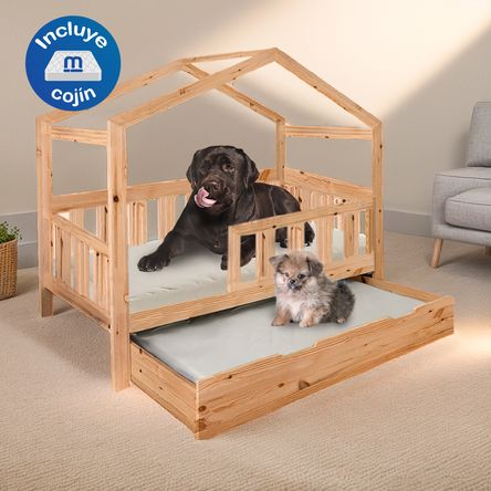 image-5b3f2cae79934d4ba39ccca6ee555118 image-5b3f2cae79934d4ba39ccca6ee555118