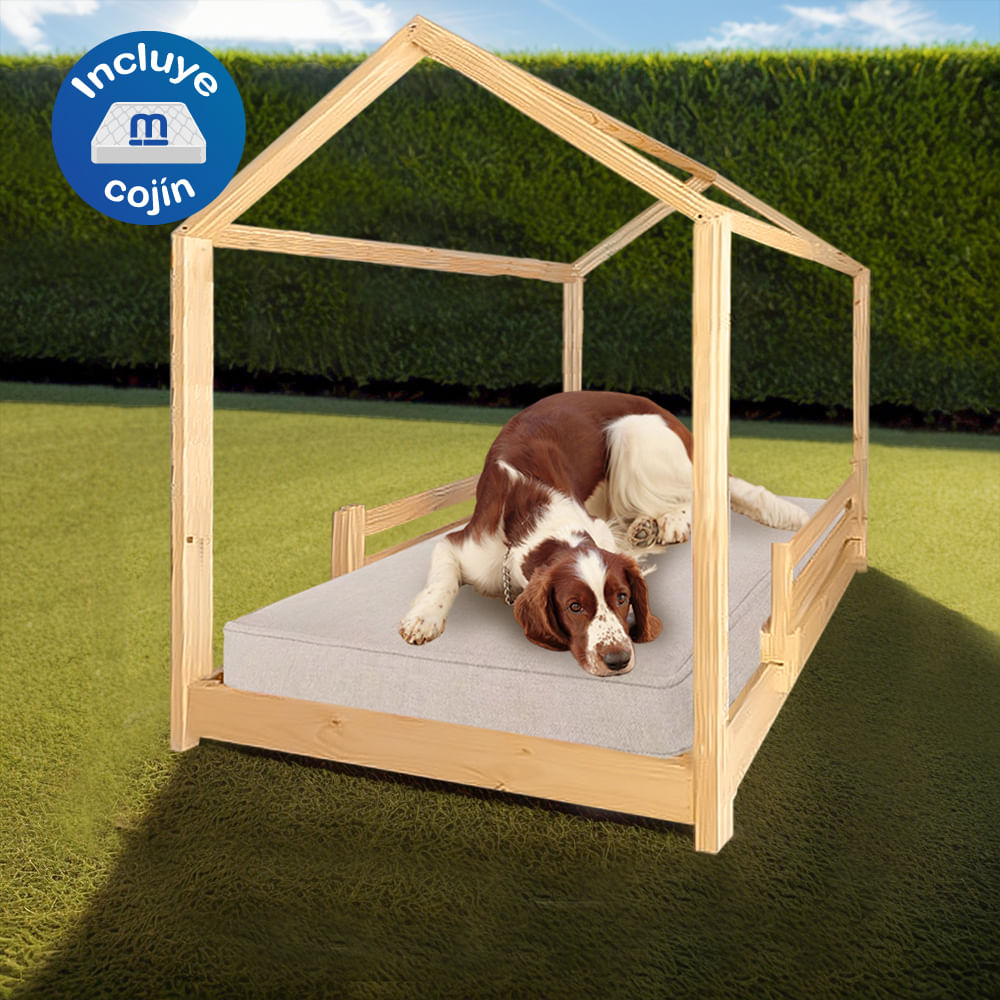 image-4542f3b58e234a6e918afe00ab7e546a image-4542f3b58e234a6e918afe00ab7e546a