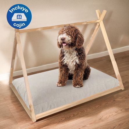 image-0c0c2cda21ff4e21bda89c3f8b738941 image-0c0c2cda21ff4e21bda89c3f8b738941