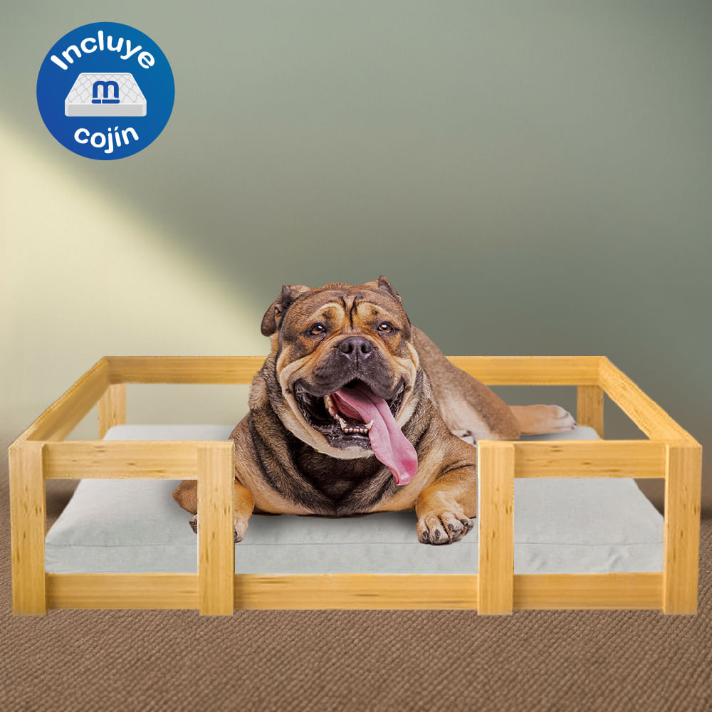 image-d58692894c344d708d1e8c70acef6d70 image-d58692894c344d708d1e8c70acef6d70