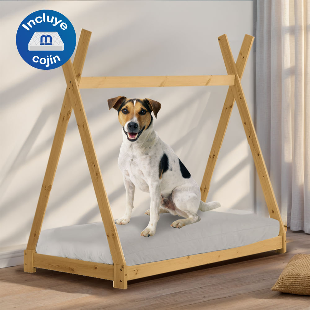 image-f6e489b7cd6e4958a177a4138ef3c3c6 image-f6e489b7cd6e4958a177a4138ef3c3c6