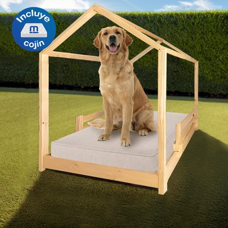 image-99a50c0067404e94b122d2e96c4243fb image-99a50c0067404e94b122d2e96c4243fb