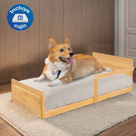 image-8121735a57d2462688dedc551718ee41 image-8121735a57d2462688dedc551718ee41