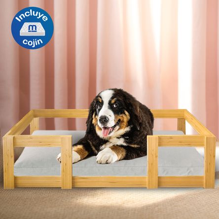 image-ed334f781fb94c3e8ce49430cb7151cf image-ed334f781fb94c3e8ce49430cb7151cf