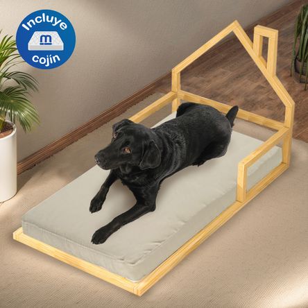 image-b7e2360ff6fe41abb74ef8c2a756f783 image-b7e2360ff6fe41abb74ef8c2a756f783