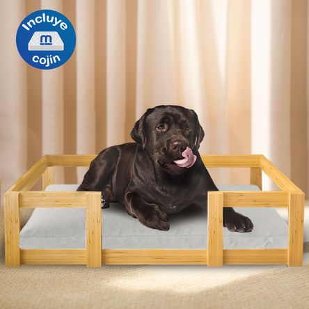 image-9995ee2db66744e08ca666e5791e783c image-9995ee2db66744e08ca666e5791e783c