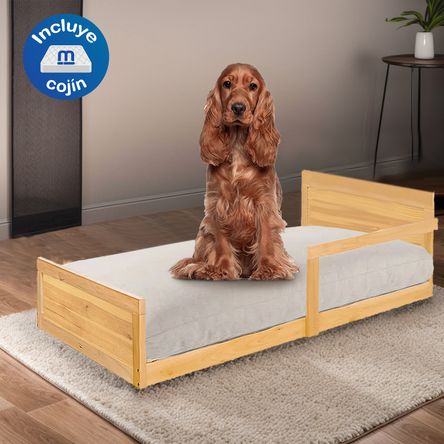 image-3950320e923e4b3ca265cbf798d6bdf9 image-3950320e923e4b3ca265cbf798d6bdf9