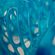 image-1f6469a4b4454d96b69c311d01c096ff