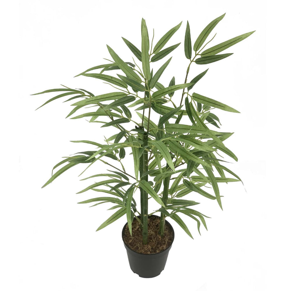 image-b34ca9345fd241e8afc34ee4bd82530e image-b34ca9345fd241e8afc34ee4bd82530e
