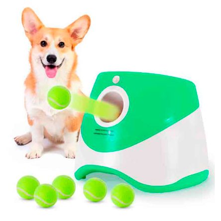 1720129168536_0 1720129168536_0