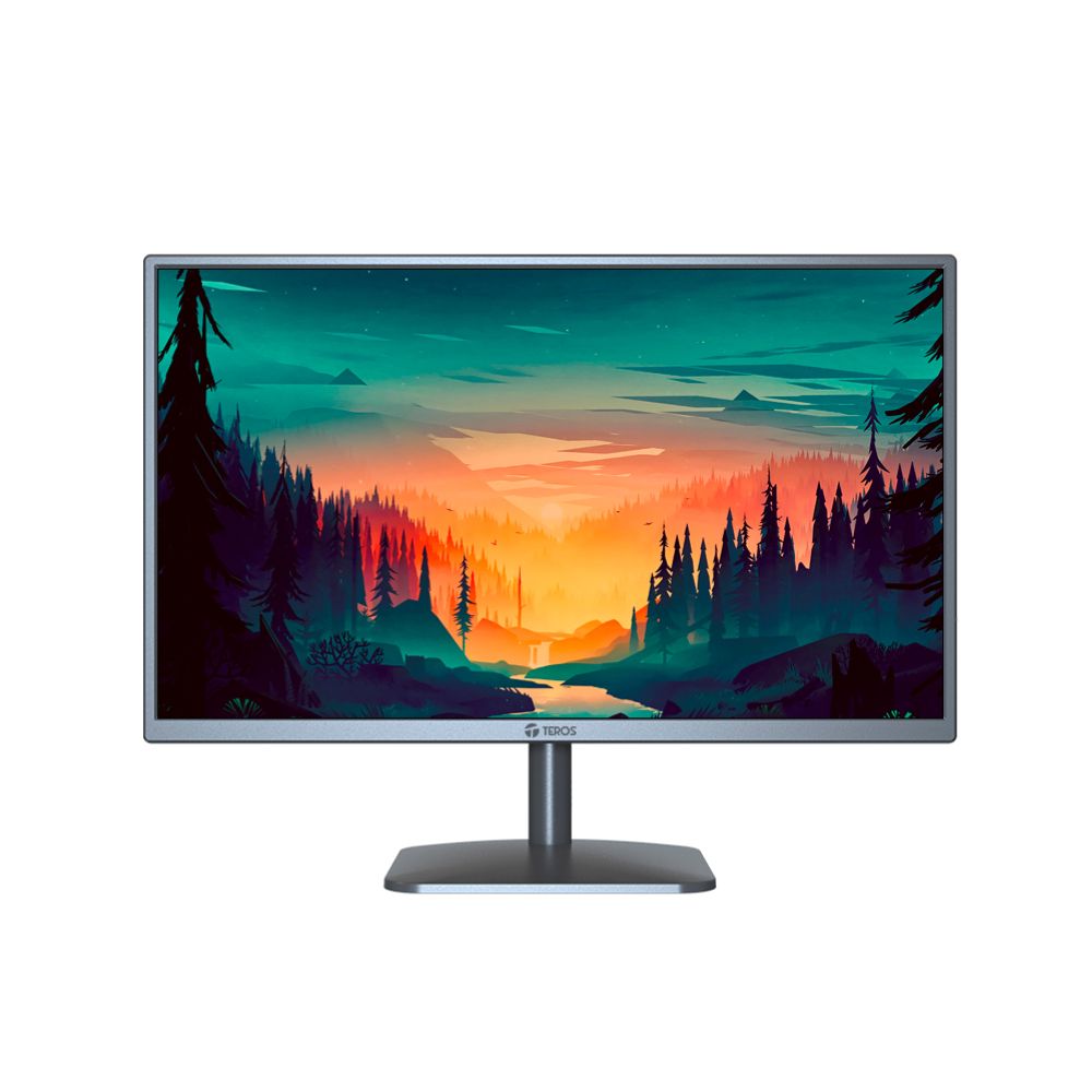 Monitor flat Teros TE-1914S, 19.5""