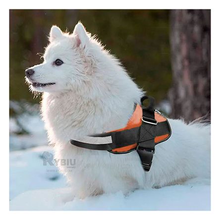 Arnes para Perros Activos Talla S de Color Anaranjado