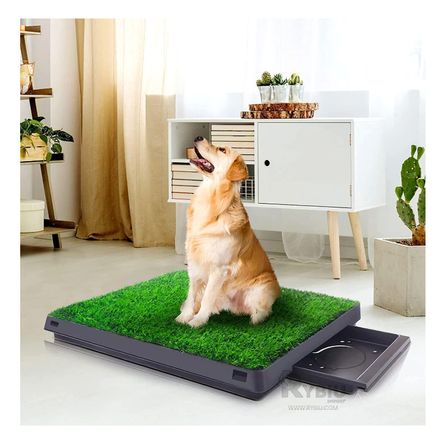 Baño Amplio para Canes Talla L Negro Y+Stickers