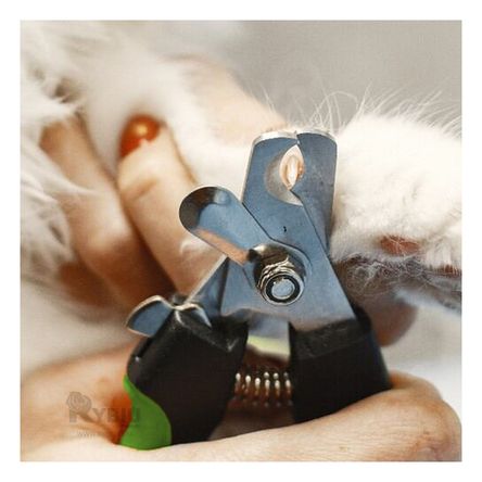 Alicate Funcional para Uñas en Talla L Y+Post-it adhesivos Alicate Funcional para Uñas en Talla L Y+Post-it adhesivos