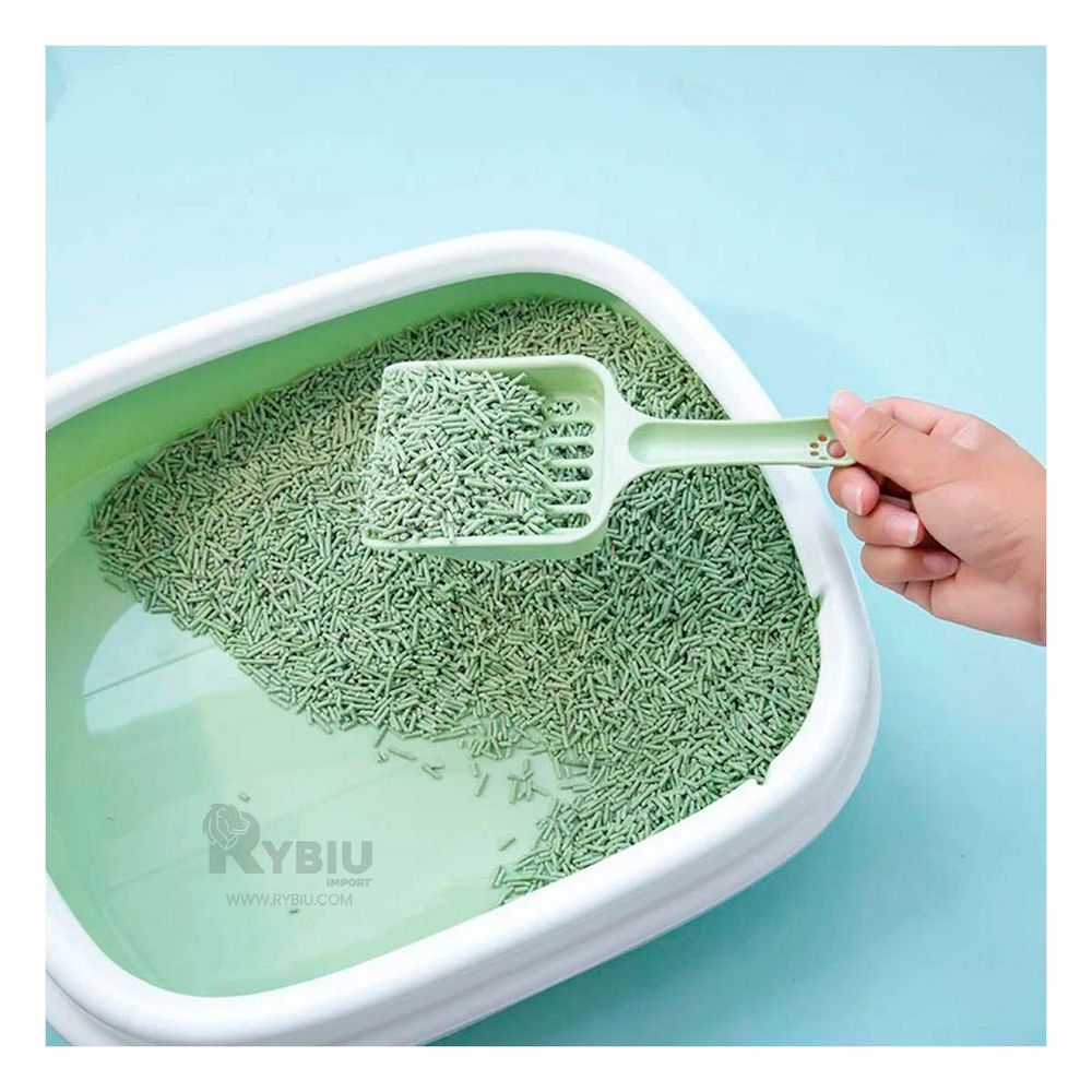 Arenero Cat Practico de Utilizar 40x33x11 Verde Y+Agendita Arenero Cat Practico de Utilizar 40x33x11 Verde Y+Agendita