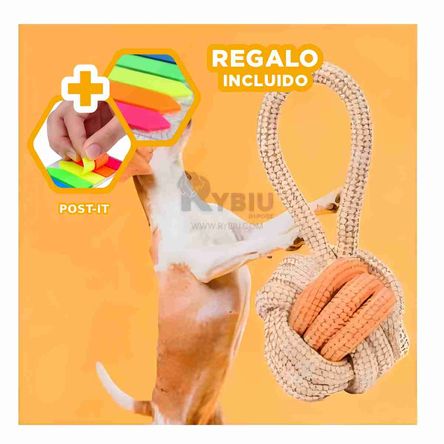 Cuerda Estilizada para Morder de Mostaza Y+Post-it adhesivos Cuerda Estilizada para Morder de Mostaza Y+Post-it adhesivos