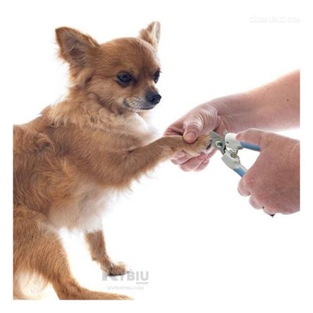 Corta Uñas Perfecto para Mascotas Grande Azul Y+Stickers Corta Uñas Perfecto para Mascotas Grande Azul Y+Stickers
