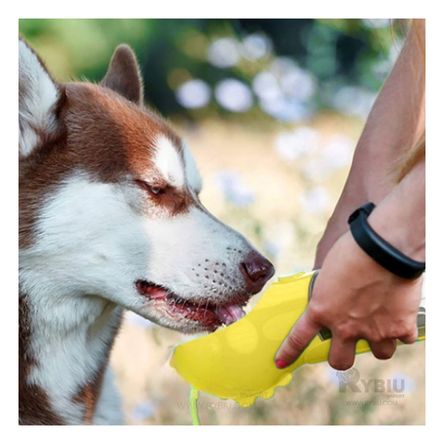 Botella Resistente 4 en 1 de Tono Amarillo Y+Papel de Regalo