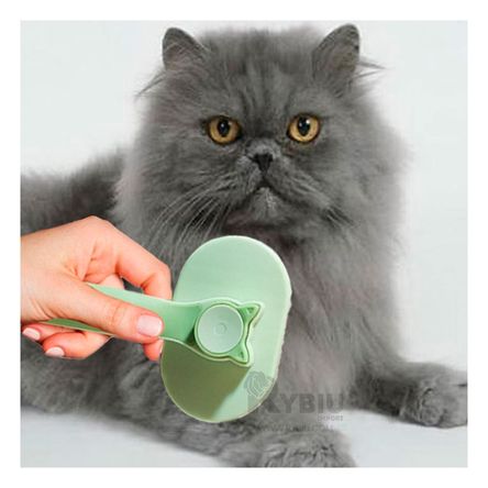 Cepillo con Mango Antideslizante Verde Y+Papel de Regalo Cepillo con Mango Antideslizante Verde Y+Papel de Regalo