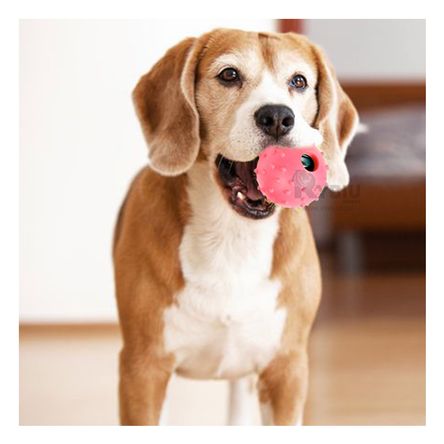 Juguete de Mascota Forma de Chirimoya Tono Rosado Y+Stickers Juguete de Mascota Forma de Chirimoya Tono Rosado Y+Stickers