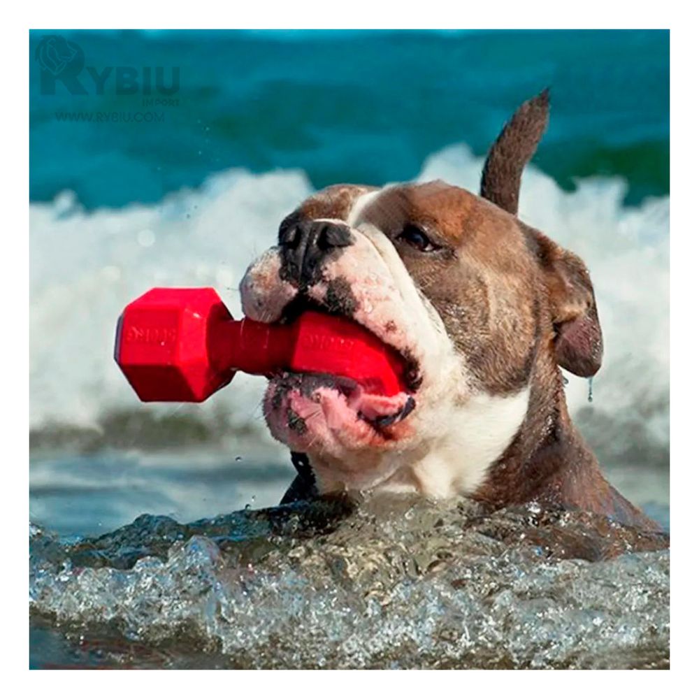 Juguete de Material Caucho para Jugar con Mascotas en Rojo Juguete de Material Caucho para Jugar con Mascotas en Rojo