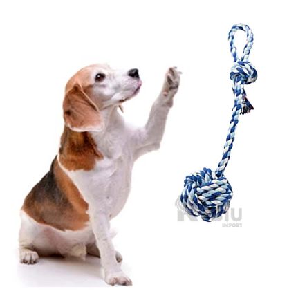 Juego para Mascota de Pelotas en Celeste Y+Post-it adhesivos Juego para Mascota de Pelotas en Celeste Y+Post-it adhesivos