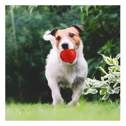 Pelota Lion de Jebe para Perro Talla S de Color Rojo