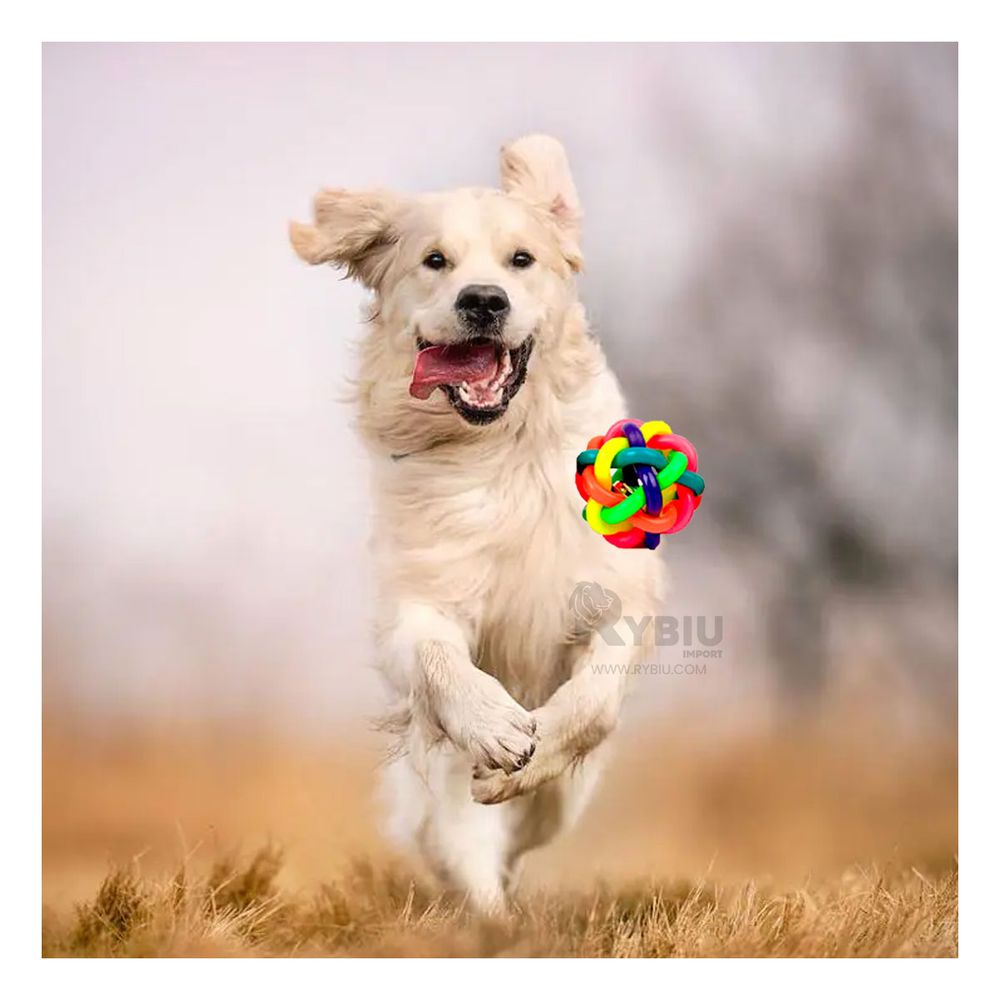 Pelota Antiestres Compacta en Multicolor Y+Papel de Regalo Pelota Antiestres Compacta en Multicolor Y+Papel de Regalo