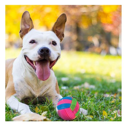 Pelota Interactiva para Juegos Rosado Y+Papel de Regalo Pelota Interactiva para Juegos Rosado Y+Papel de Regalo