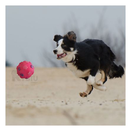 Pelota Masticable con Patitas en Rosado Y+Papel de Regalo