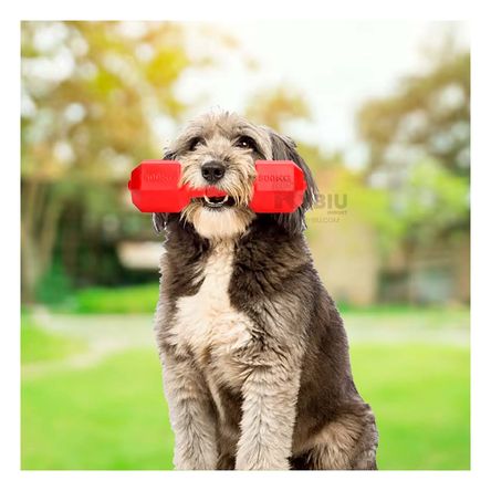 Juguete Interactivo para Perros Tono Rojo Y+Papel de Regalo