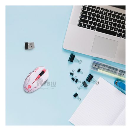 Mouse con Scroll Suave y Nano Receptor USB Blanco Y+Stickers