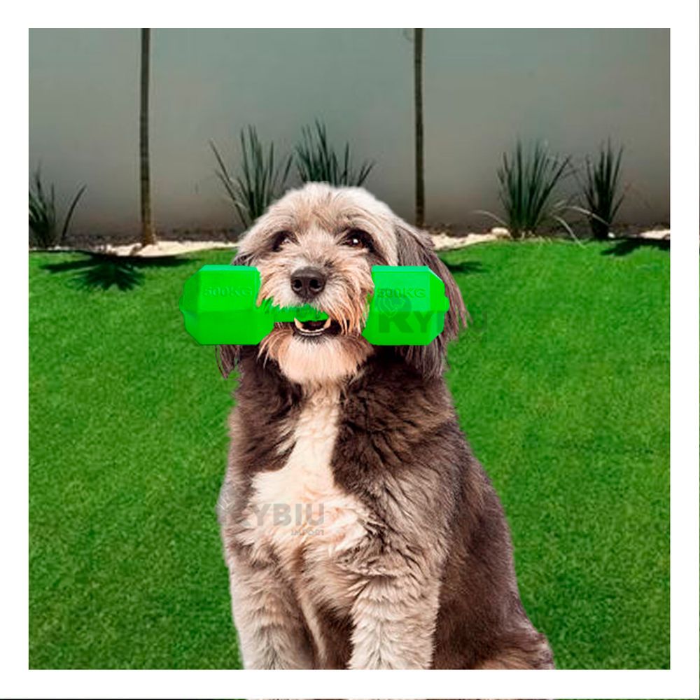 Juguete Interactivo para Perros en Color Verde Y+Agendita Juguete Interactivo para Perros en Color Verde Y+Agendita