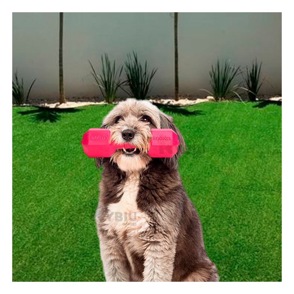 Juguete Interactivo para Perros Color Rosado Y+Agendita Juguete Interactivo para Perros Color Rosado Y+Agendita