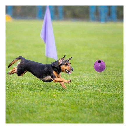 Juguete Portatil de Caucho Forma de Chirimolla Diseño Morado