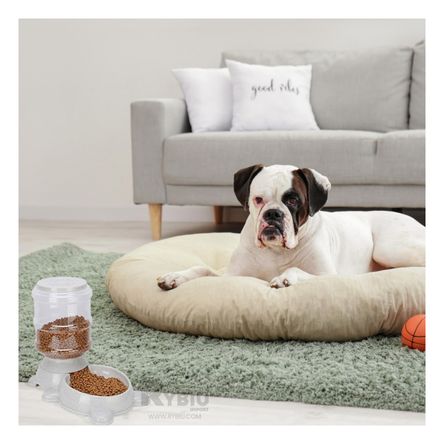 Fuente Inteligente de Comida Pet Plomo Y+Post-it adhesivos Fuente Inteligente de Comida Pet Plomo Y+Post-it adhesivos