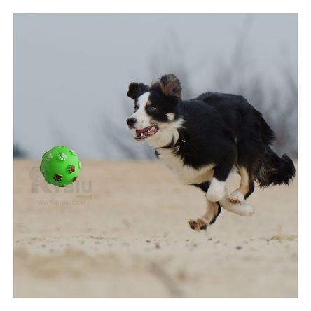 Pelota Masticable con Patitas en Verde Y+Papel de Regalo